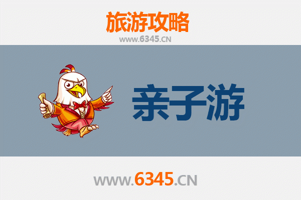 海南白沙打安镇亲子游全攻略：雨林探秘与黎族文化体验