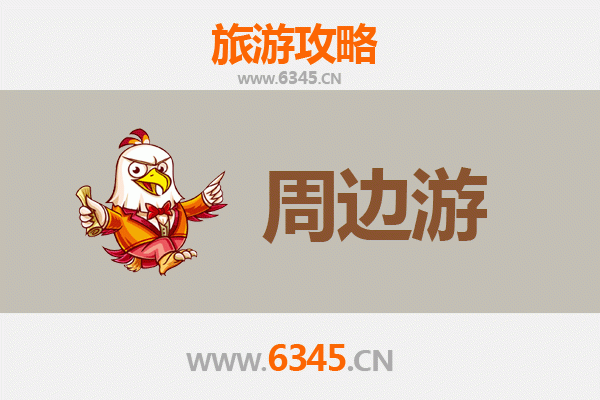 海南白沙打安镇深度游攻略：雨林探秘与黎族文化体验